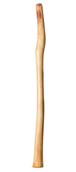 Natural Finish Flared Didgeridoo (TW1576)